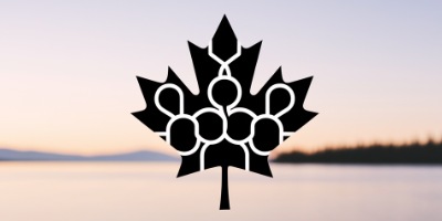 Learn essential strategies for Canadian health professionals to secure sensitive information, adhere to privacy laws, and build patient trust through effective data management. 