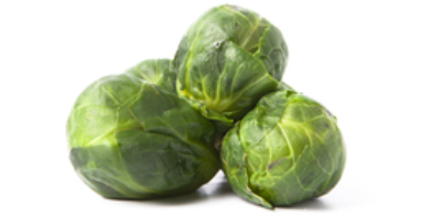 Melissa Allen, Food and Nutrition