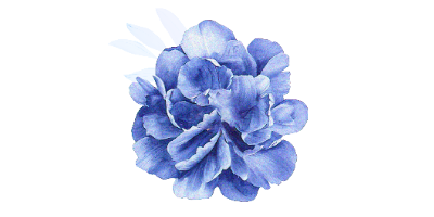 Infinite Oceans Therapy logo